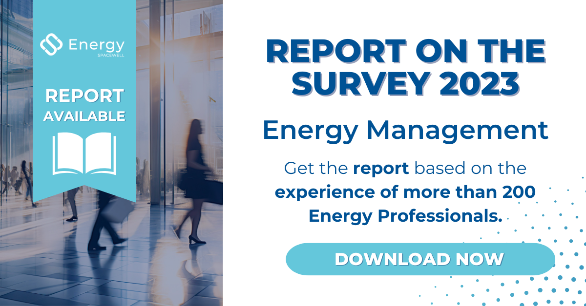 Survey Report State of the Energy 2024 - Spacewell Energy